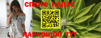 мдпв Донецк