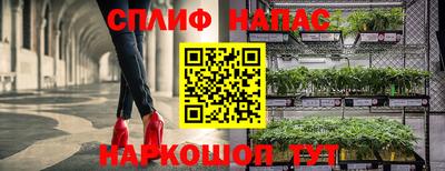 дживик Донской