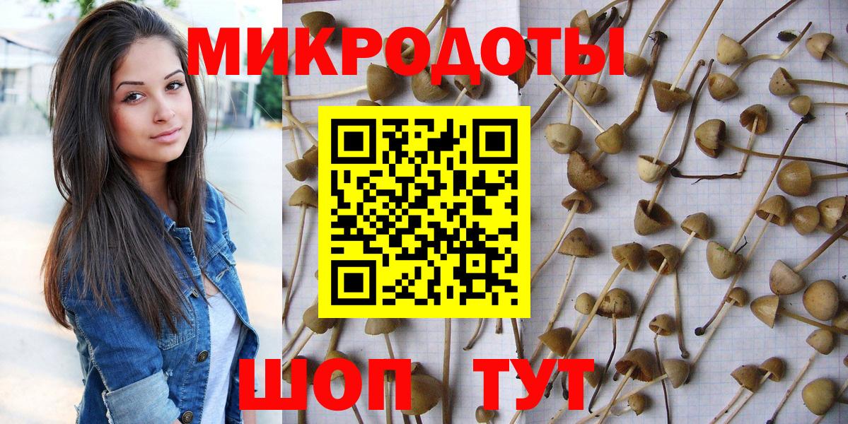 где продают наркотики  Галлюциногенные грибы GOLDEN TEACHER  Вход с VPN  Нурлат 