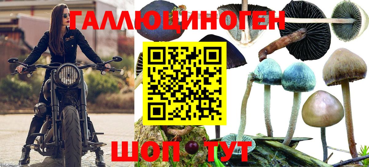Псилоцибиновые грибы мухоморы Нурлат